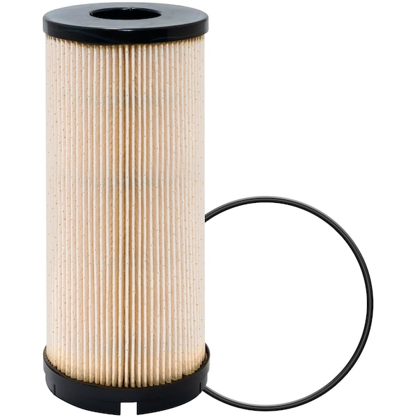 Fuel/Water Separator, 10-13/16" L